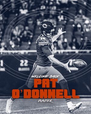 Image post by @chicagobears on Instagram