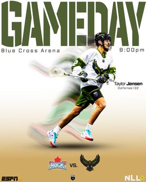 Image post by @rocknighthawks on Instagram