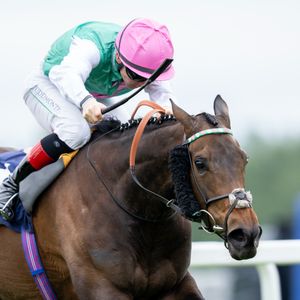 Image post by @juddmonte on Instagram
