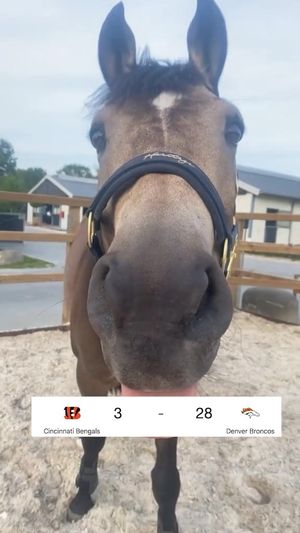 Video post by @broncos on TikTok