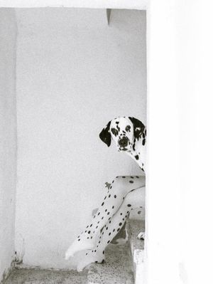 Image post by @fubiz on Instagram