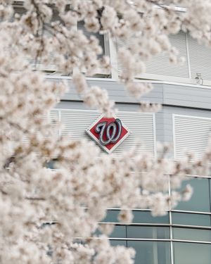 Image post by @nationals on Instagram