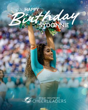 Image post by @dolphinscheer on Instagram