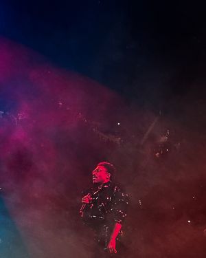 Image post by @dannhrm on Instagram