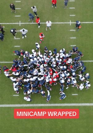 Video post by @patriots on TikTok