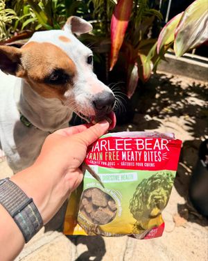 Image post by @charlee_bear_dogtreats on Instagram