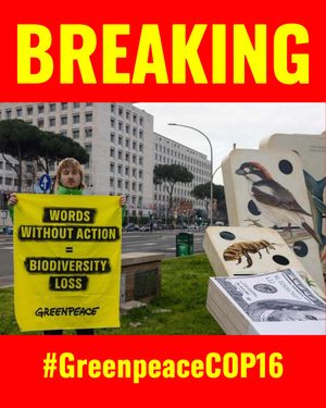 Image post by @greenpeace on Instagram