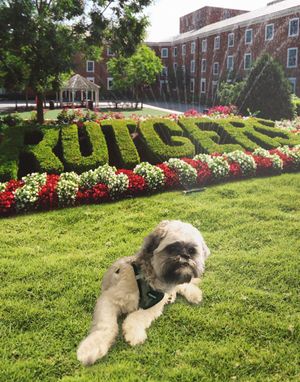 Image post by @rutgersu on Instagram
