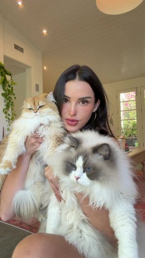 Video post by @lyssielooloo on TikTok