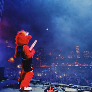 Image post by @bennythebull on Instagram