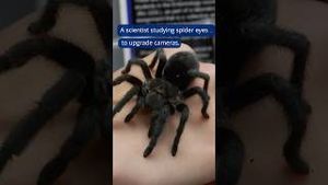 Video post by @dukeuniversity on YouTube