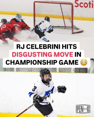 Image post by @br_openice on Instagram