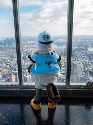 Image post by @skythepigeon on Instagram