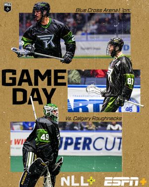 Image post by @rocknighthawks on Instagram