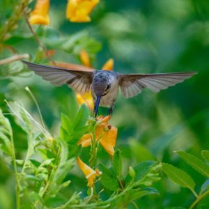 Image post by @cityofhenderson on Instagram