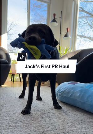 Video post by @hayleylewis_sports on TikTok