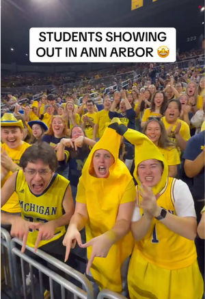 Video post by @marchmadnesswbb on TikTok