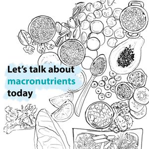 Image post by @circuitsehat on Instagram