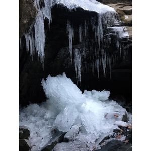 Image post by @drsquatch on Instagram