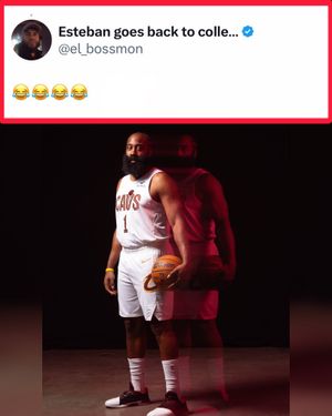 Video post by @whistle on TikTok