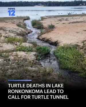 Image post by @news12li on Instagram