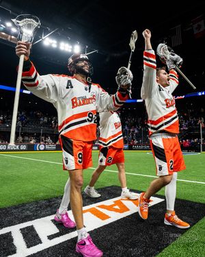 Image post by @nllbandits on Instagram