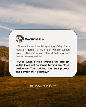 Image post by @awanitavalley on Instagram
