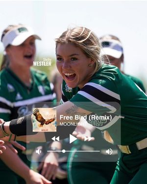 Image post by @ohiobobcatsb on Instagram