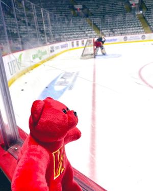 Image post by @ahlwranglers on Instagram
