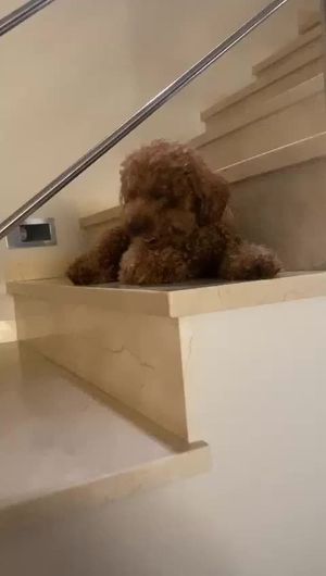 Video post by @itskrufy on TikTok