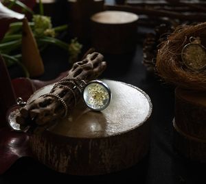 Image post by @leafyaffair on Instagram