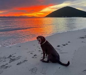 Image post by @caribbeansunshine2.0 on Instagram