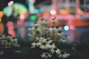 Image post by @brandenlitle on Instagram