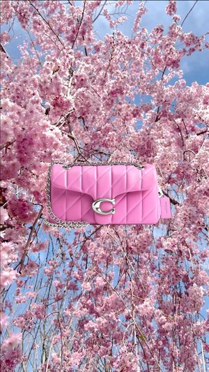 Video post by @coach on Facebook