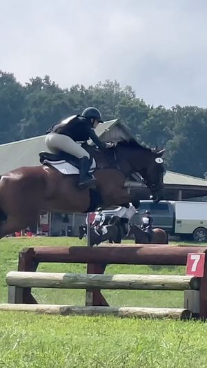 Video post by @clairecumbee on Instagram