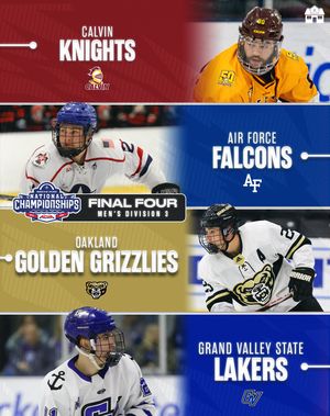 Image post by @hockeyhousepod on Instagram