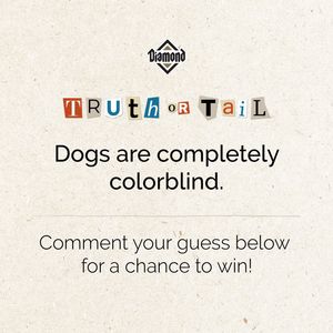 Image post by @diamondpetfoods on Instagram