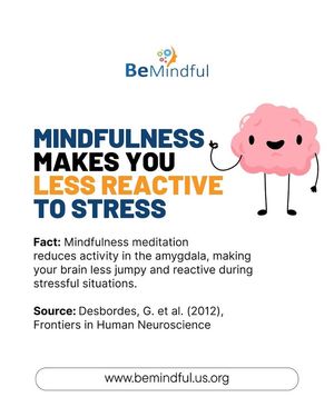 Image post by @Bemindful.us.org on Facebook