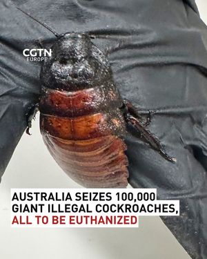Image post by @cgtneurope on Instagram