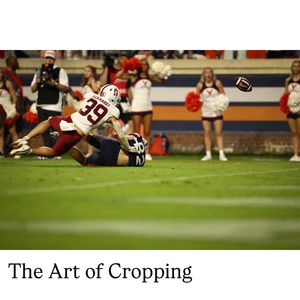 Image post by @plaidsheepcreative on Instagram