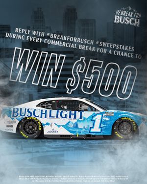 Image post by @BuschBeer on Twitter