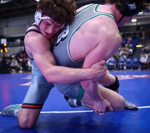 Image post by @plaidsheepcreative on Instagram