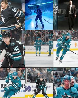 Image post by @sanjosesharks on Instagram