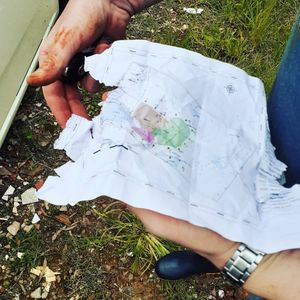 Image post by @operitoambiental on Instagram