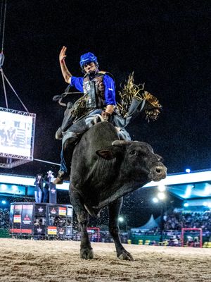 Image post by @pbrbrazil on Instagram