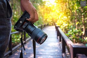 Image post by @lightboximages on Instagram