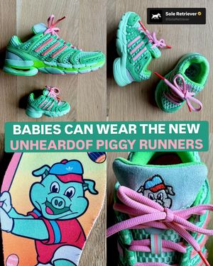 Image post by @soleretriever on Instagram