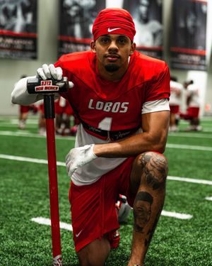 Image post by @unmlobofb on Instagram