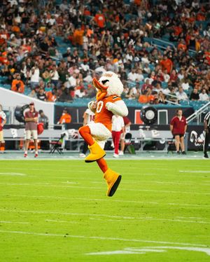 Image post by @um_sebastian on Instagram