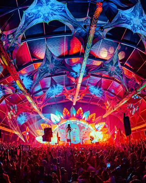 Image post by @beyondwland on Instagram